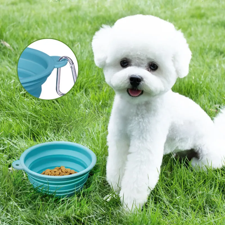 Ustensiles pour chien