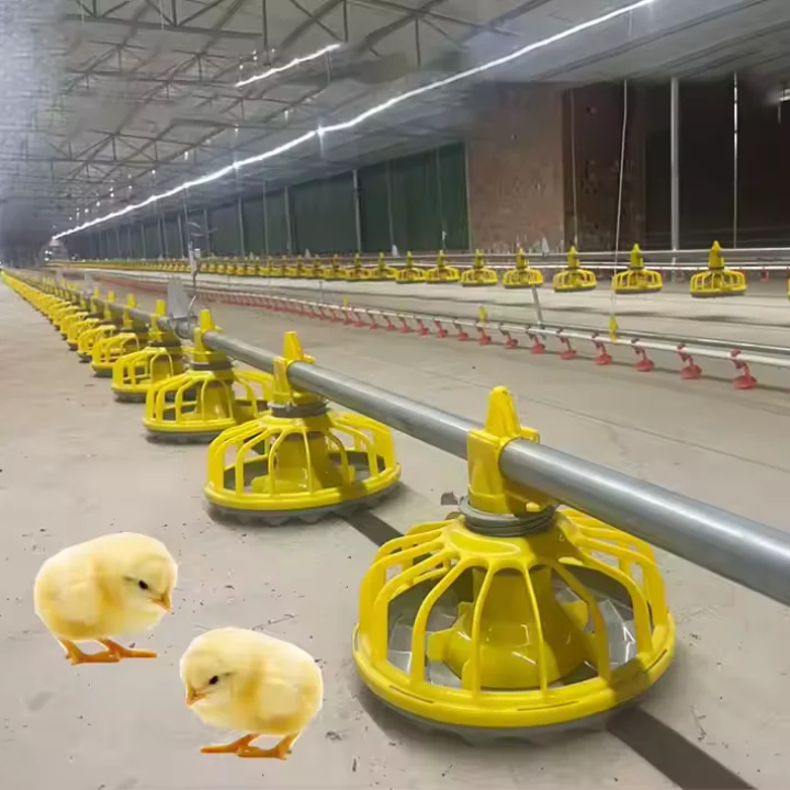 Outillages pour volailles