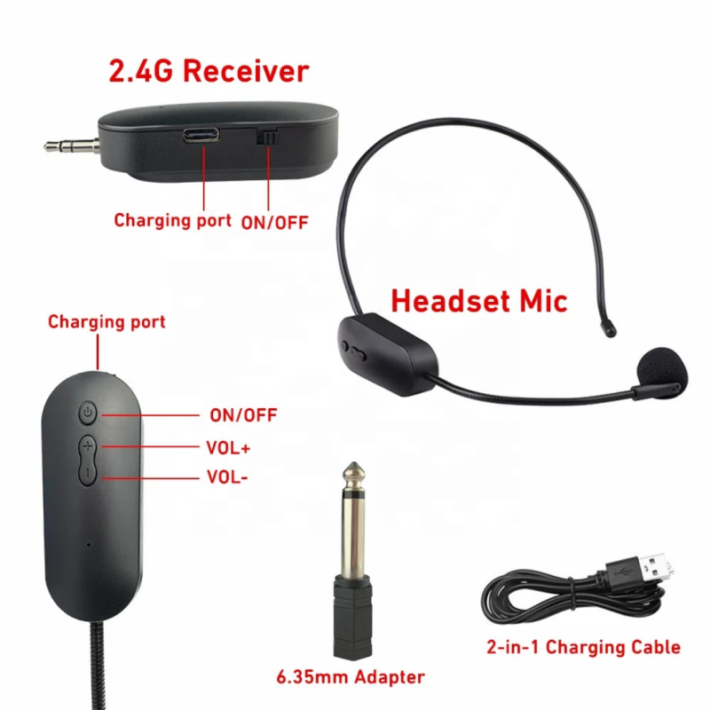 Micro baladeur
