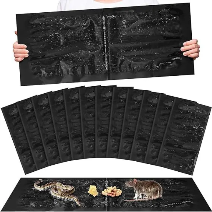 Tapis anti rongeur