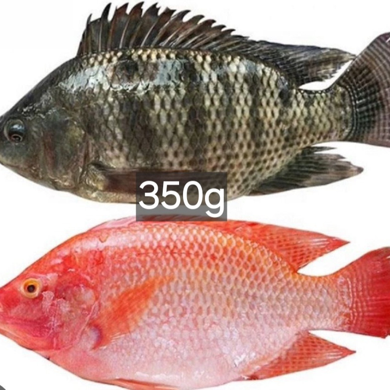 Poisson local