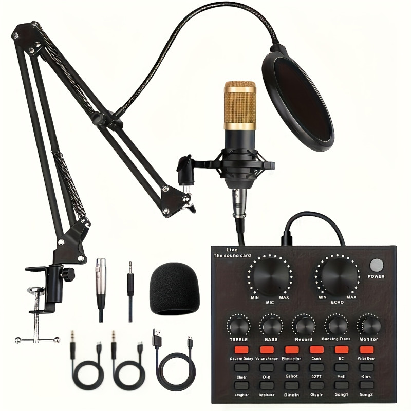 Kit microphone professionnel